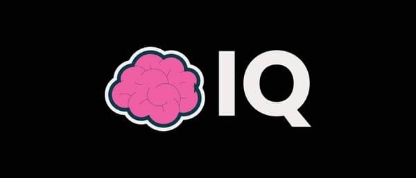 Featured image for Future Prospects of the IQ Token