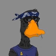 Duckz #3.jpg