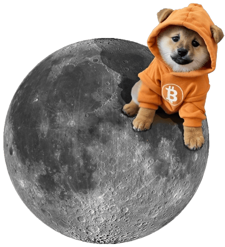 DOG-moon-spinning.png
