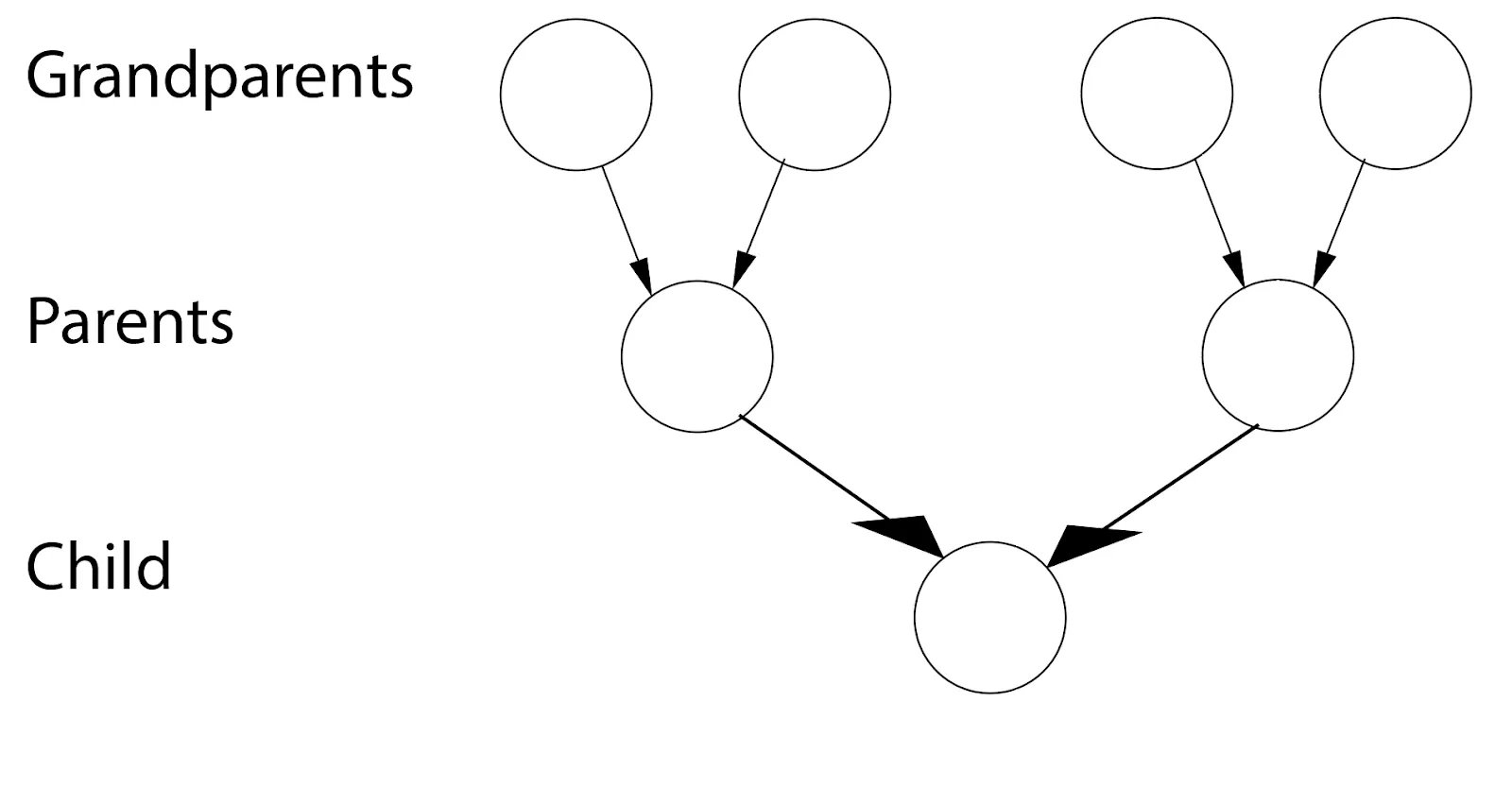 Family tree.webp