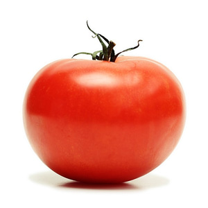 新疆番茄