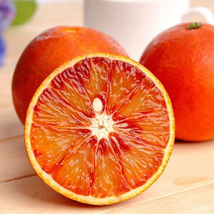 渝璧玉血橙