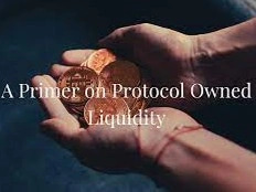 POL (Protocol Owned Liquidity)