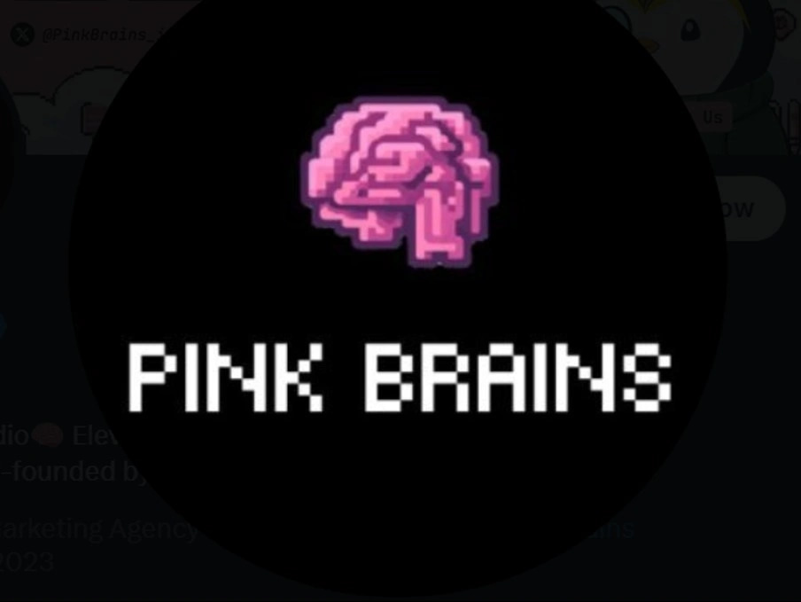 Pink Brains