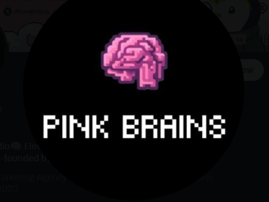 Pink Brains Decentralized Finance IQ wiki