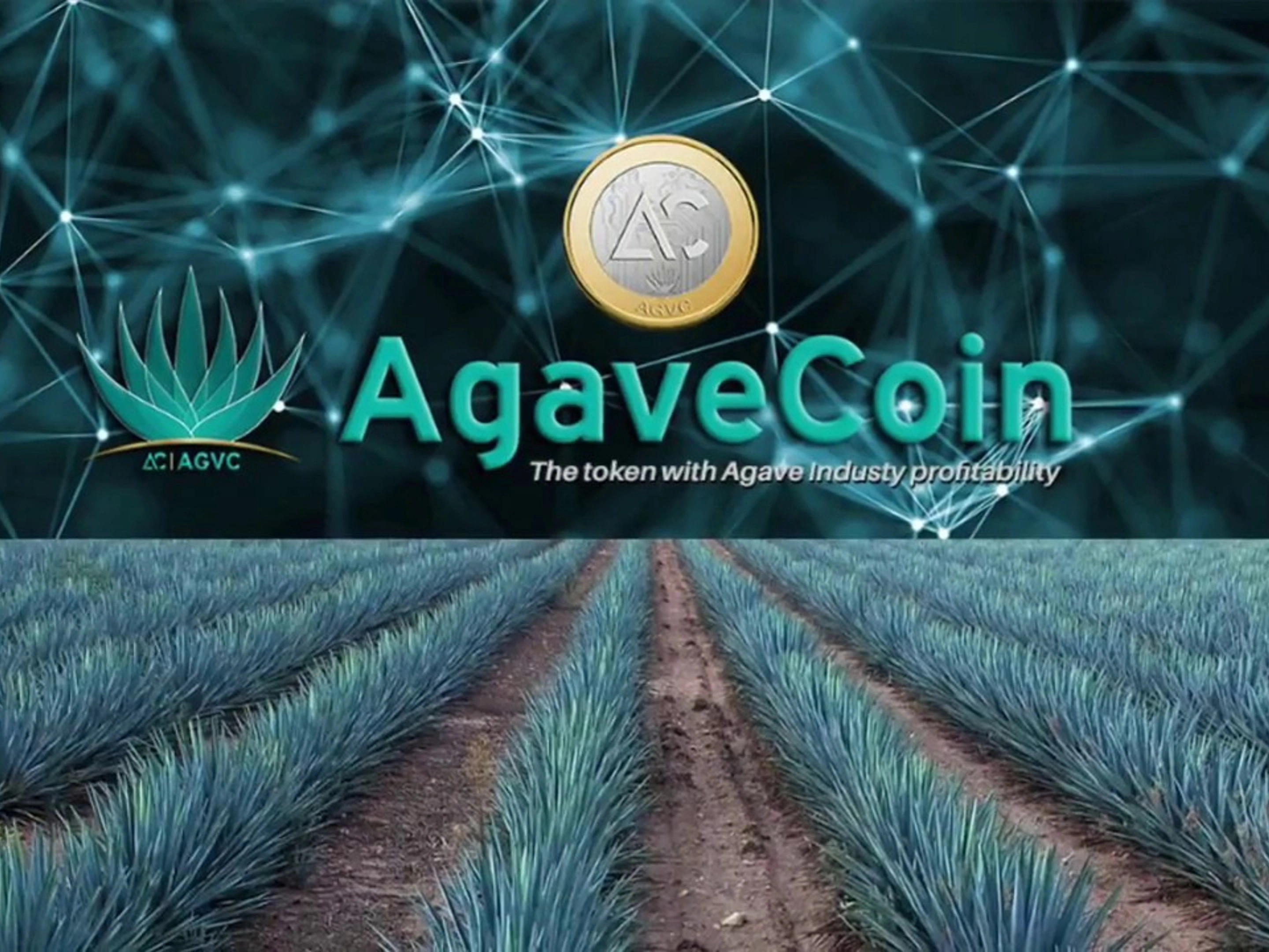 AgaveCoin