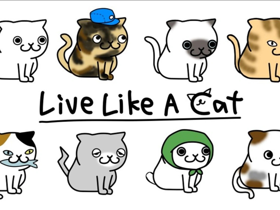 Live Like A Cat - neko no youni ikiru