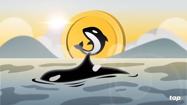 Orca