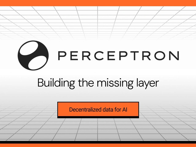Perceptron Network